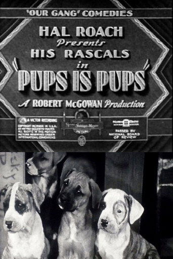 Pups Is Pups movie poster