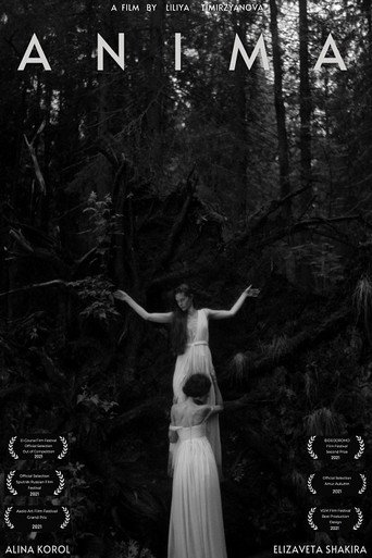 Anima movie poster