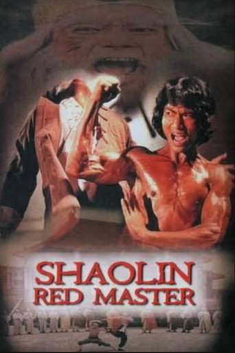 Shaolin Tough Kid movie poster
