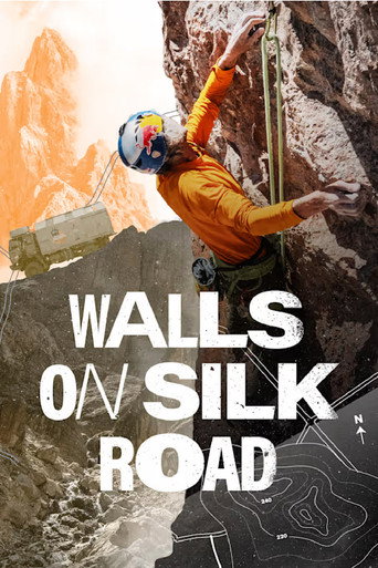 Walls on Silk Road movie poster