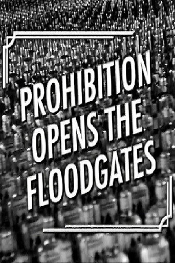 Prohibition Opens the Floodgates movie poster