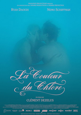 The Color of Chlorine movie poster