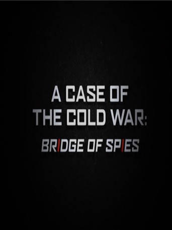 A Case of the Cold War: Bridge of Spies movie poster
