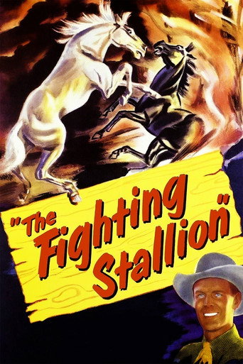 The Fighting Stallion movie poster