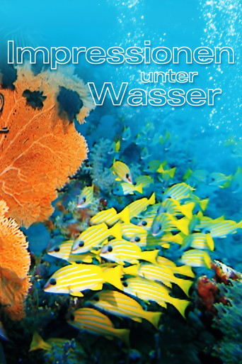 Underwater Impressions movie poster