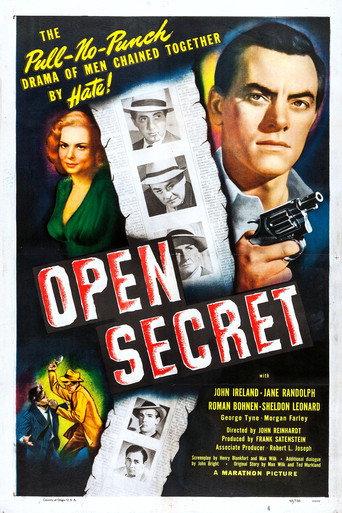 Open Secret movie poster