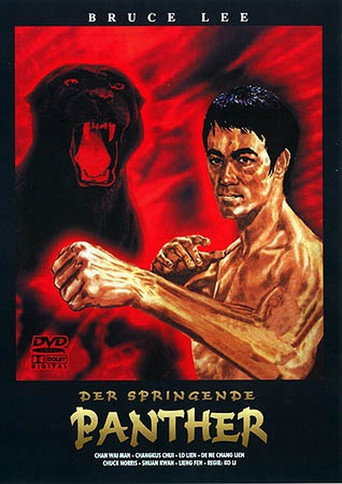 The Fist of Justice movie poster