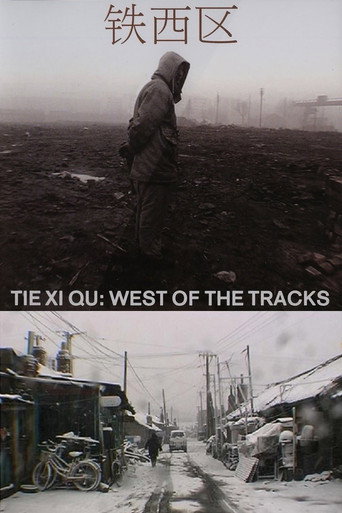 Tie Xi Qu: West of the Tracks movie poster