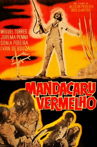 Red Mandacaru movie poster