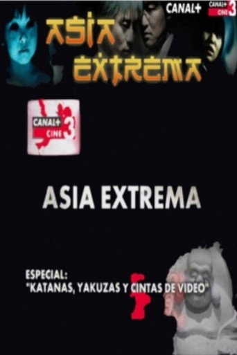 Katanas, yakuzas y cintas de video movie poster