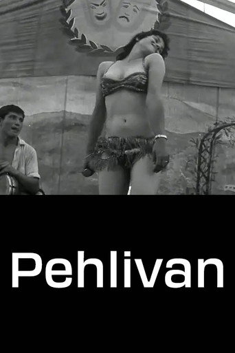Pehlivan movie poster