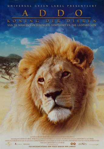 Addo - The African King movie poster