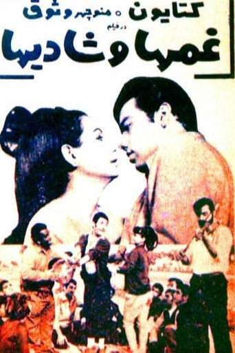 Sorrows and Joys movie poster