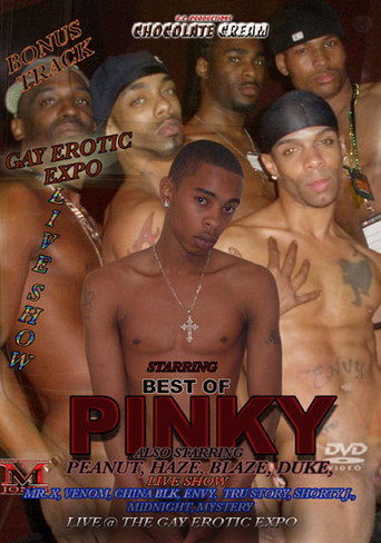 Best of Pinky movie poster