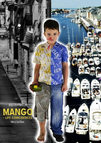 Mango: Lifes Coincidences movie poster