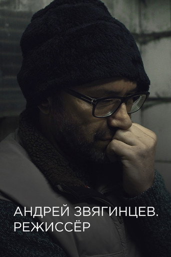 Andrey Zvyagintsev. The Director movie poster