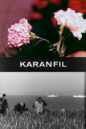 Carnation movie poster