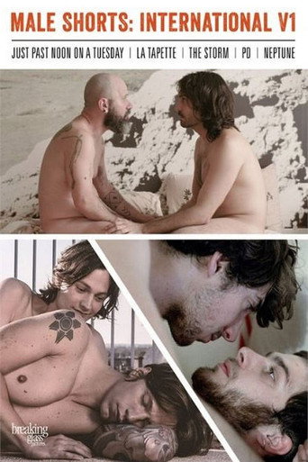 Male Shorts: International V1 movie poster