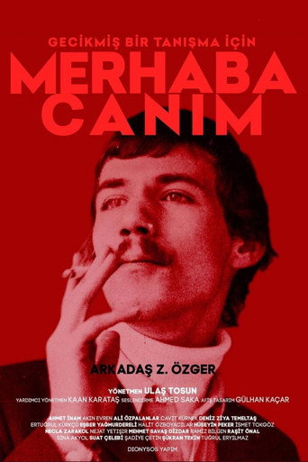 Hello My Dear movie poster