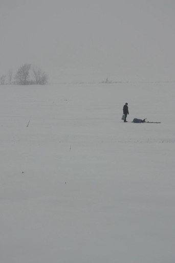Snow movie poster