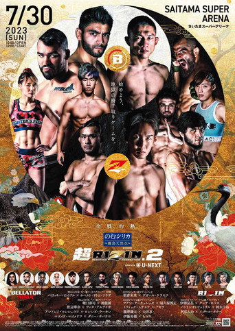 Super RIZIN 2 movie poster