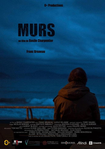 Murs movie poster