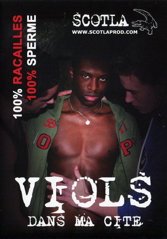Viols dans ma cité movie poster