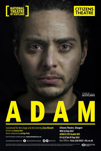 Adam movie poster