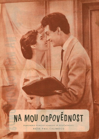 On My Responsibility movie poster