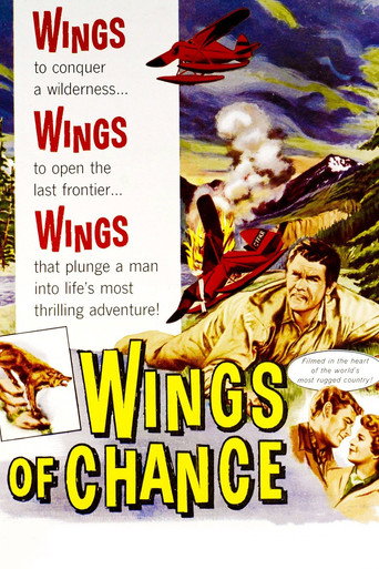 Wings of Chance movie poster