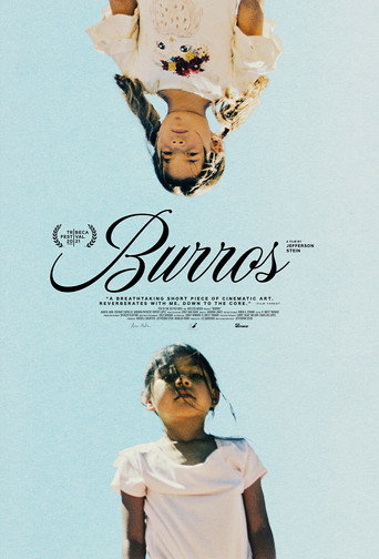 Burros movie poster