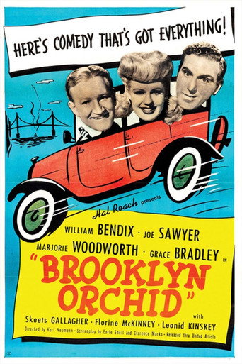 Brooklyn Orchid movie poster