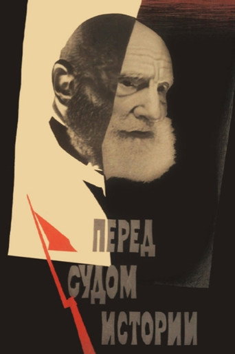 Facing the Judgement of History movie poster