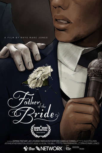 Father of the Bride movie poster