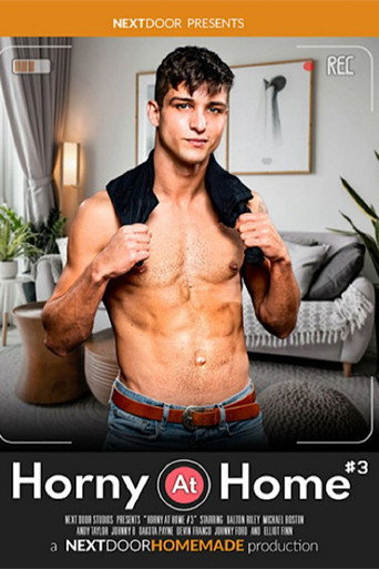 Horny at Home 3 movie poster