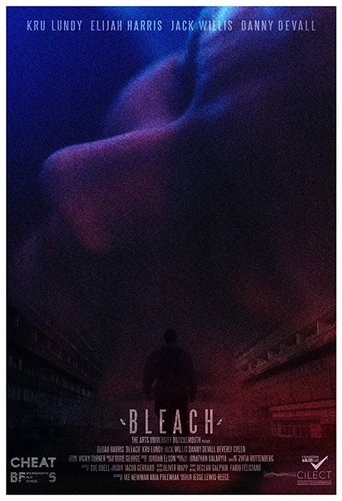 Bleach movie poster