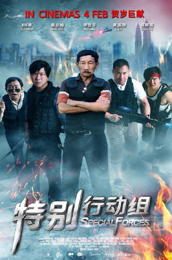 Special Forces movie poster