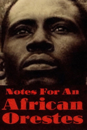 Notes Towards an African Orestes movie poster