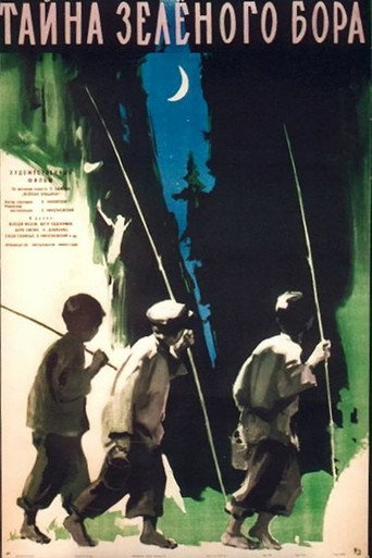 The Secret of the Green Forest movie poster