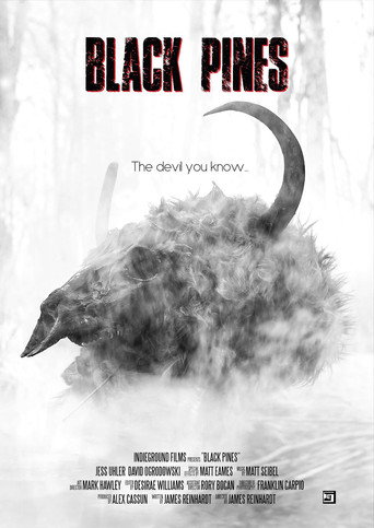 Black Pines movie poster