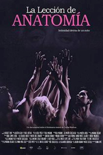 An Anatomy Lesson movie poster