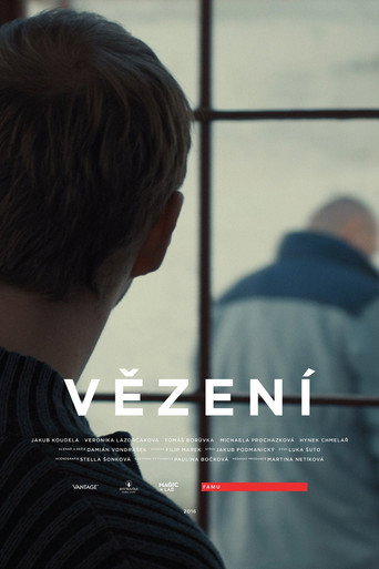 Vězení movie poster