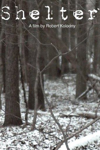 Shelter movie poster
