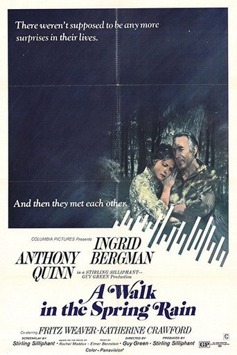 A Walk in the Spring Rain movie poster