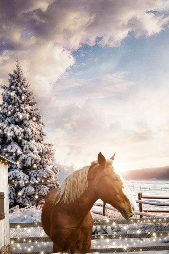 December Horses movie poster