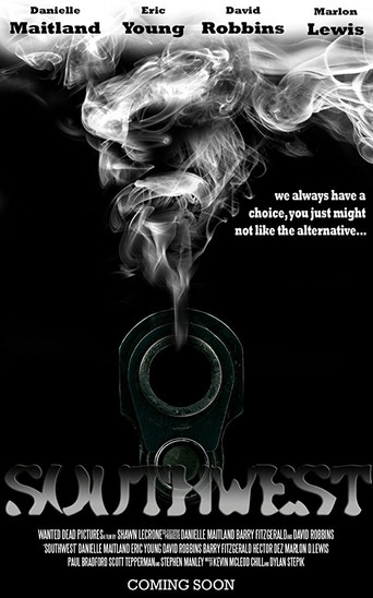 Southwest movie poster
