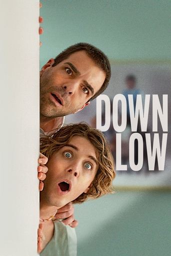 Down Low movie poster