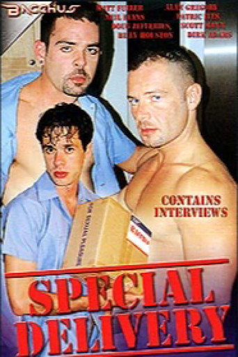 Special Delivery movie poster