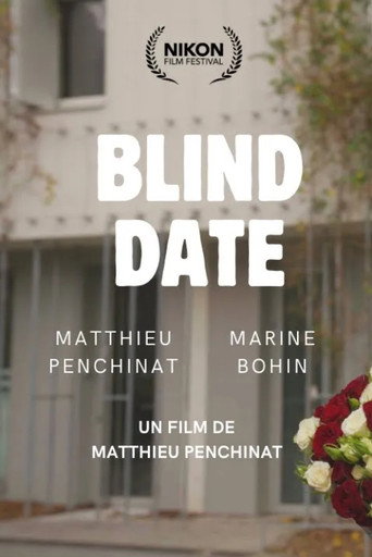 Blind Date movie poster