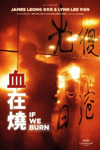 If We Burn movie poster